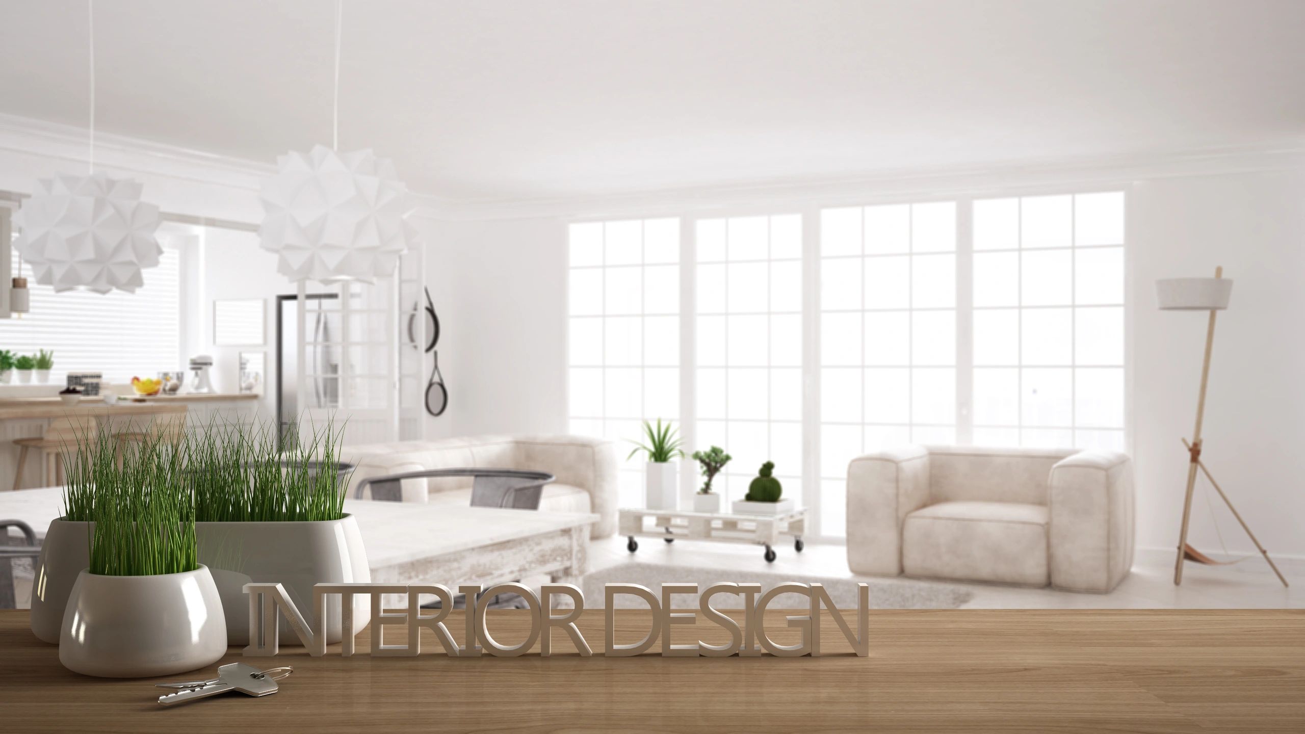Modern interior design showcase